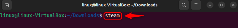 launching steam from ubuntu 24.04 terminal