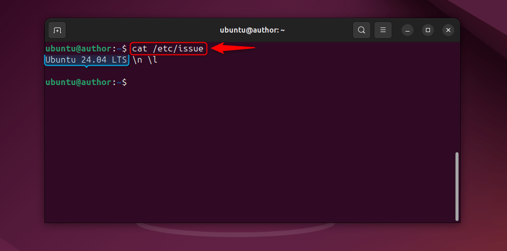 running cat command to check ubuntu version