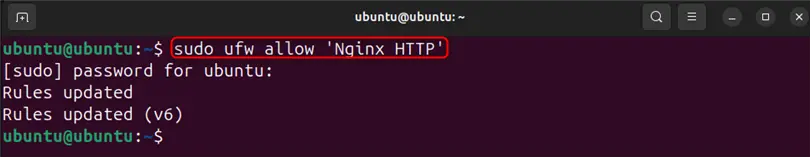 enabling nginx http incoming and outgoing traffic connection