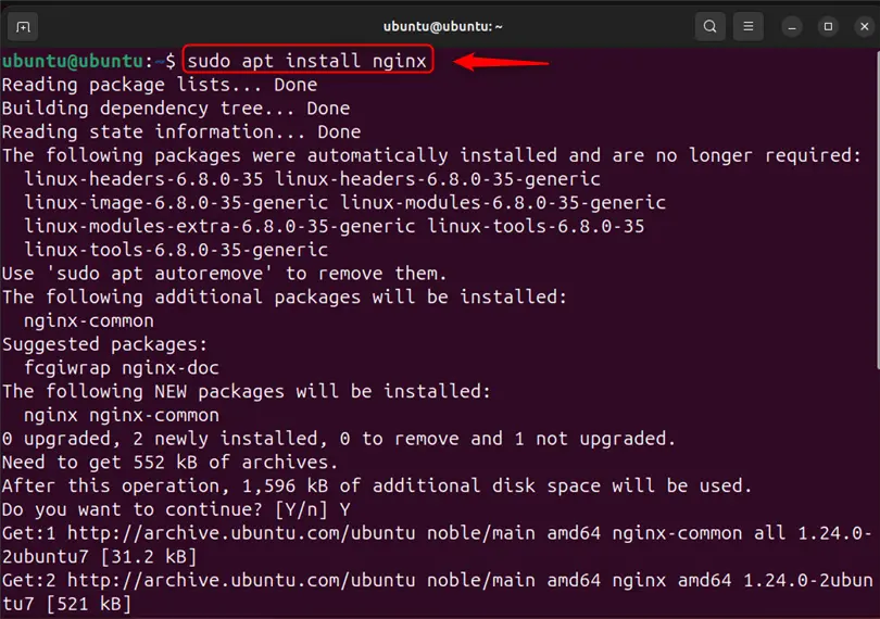 installing nginx server using sudo apt install nginx